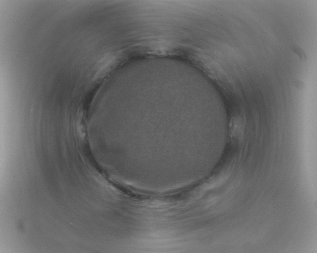 X0000115581202200911241505