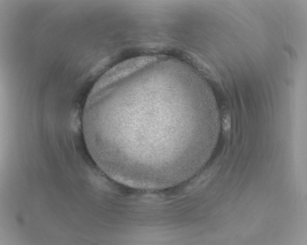 X0000115581204200911241505