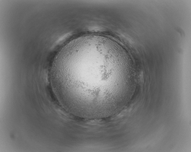 X0000115581205200911241505