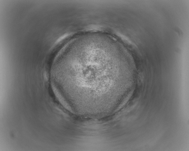 X0000115581206200911241505