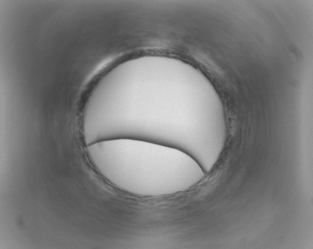 X0000115581208200911241505