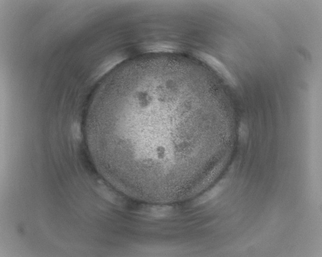 X0000115581209200911241505