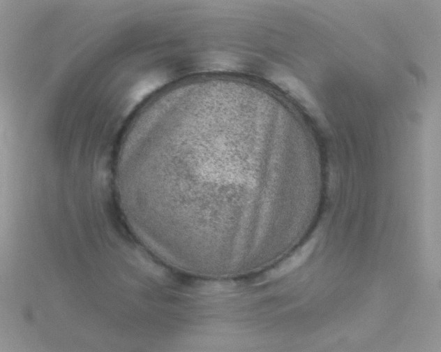 X0000115581210200911241505