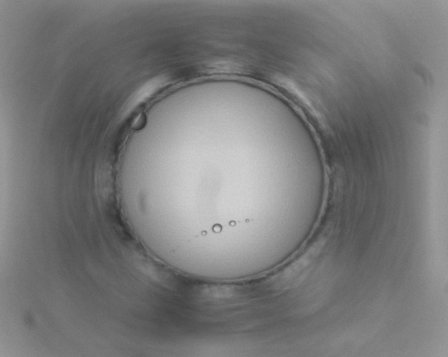 X0000115581211200911241505