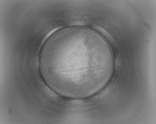 X0000115581212200911241505