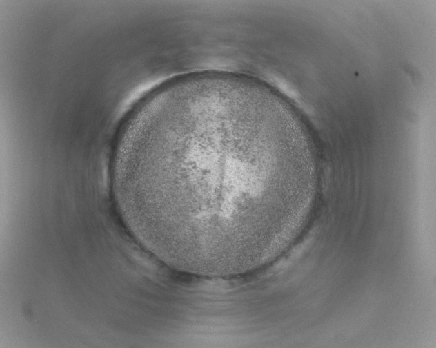 X0000115581214200911241505