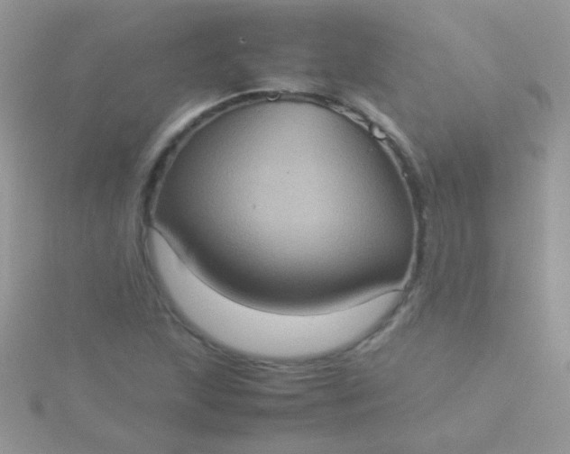 X0000115581215200911241505