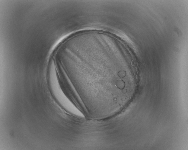 X0000115581216200911241505