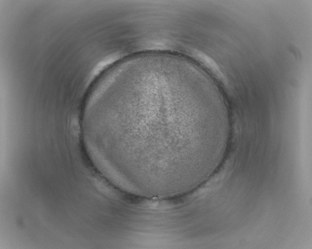 X0000115581218200911241505