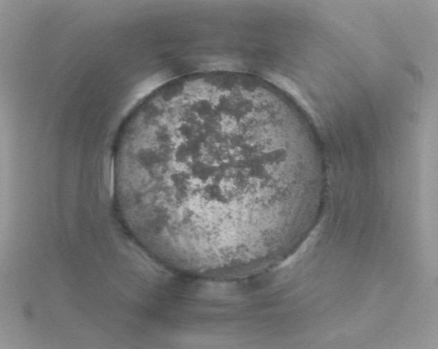 X0000115581219200911241505