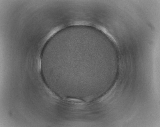 X0000115581221200911241505