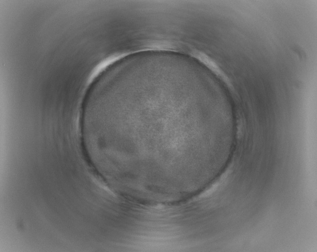 X0000115581222200911241506