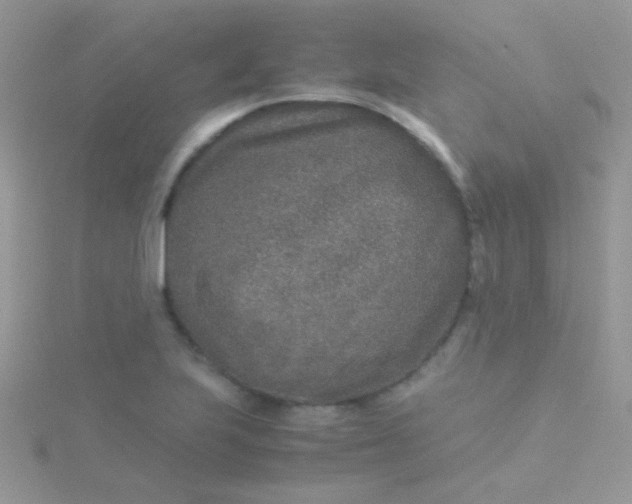 X0000115581223200911241506