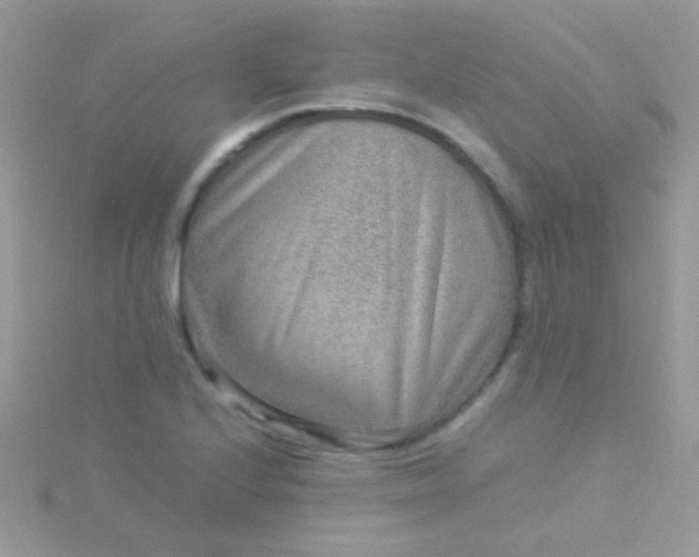 X0000115581224200911241506