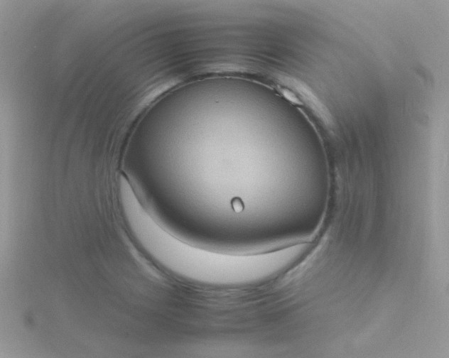 X0000115581225200911241506