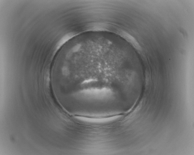 X0000115581226200911241506