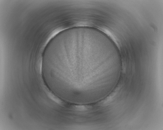 X0000115581227200911241506