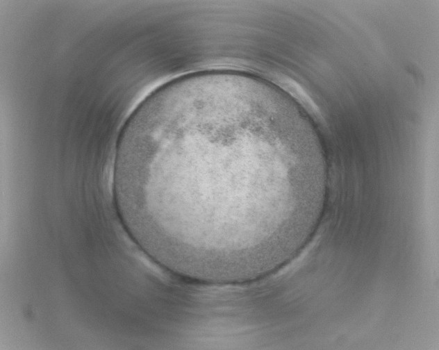 X0000115581228200911241506