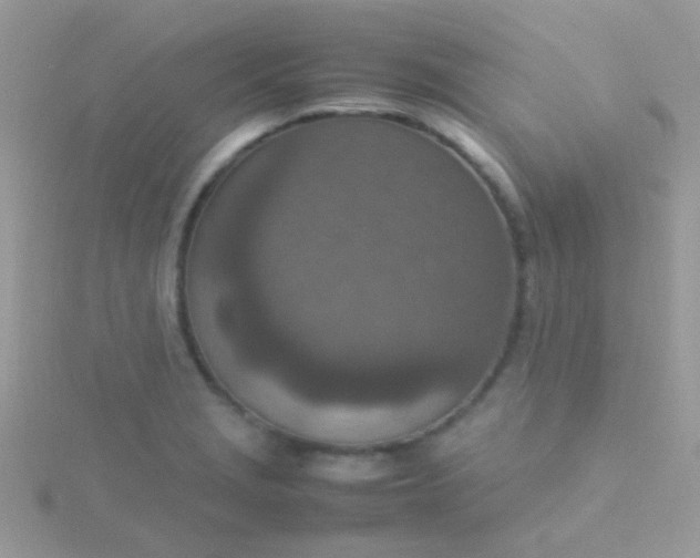 X0000115581229200911241506