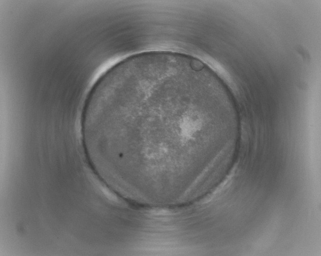 X0000115581230200911241506