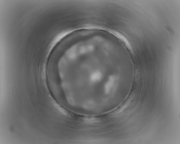 X0000115581231200911241506