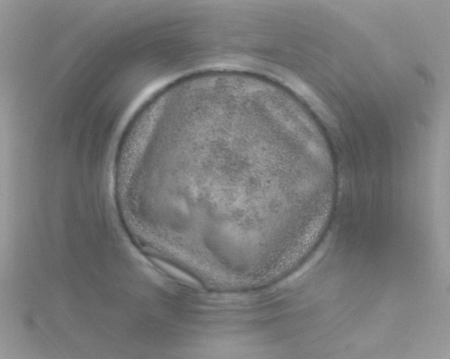 X0000115581232200911241506