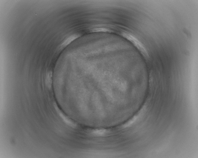 X0000115581233200911241506