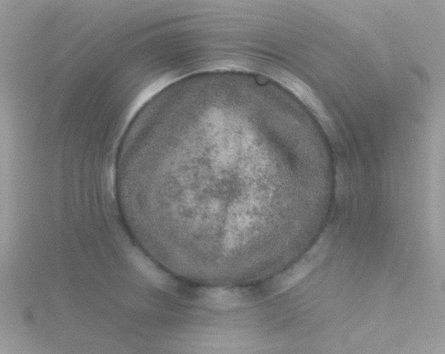 X0000115581234200911241506