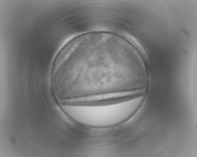 X0000115581236200911241506