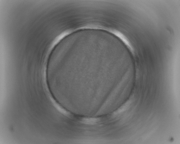 X0000115581237200911241506