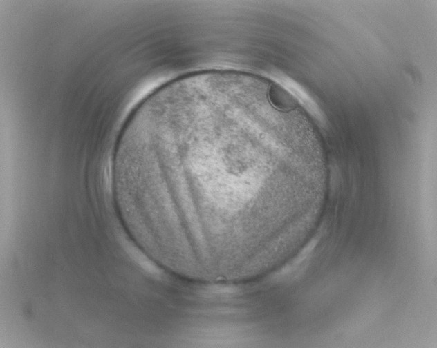 X0000115581238200911241506