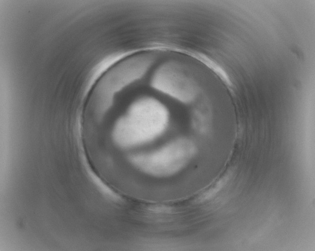 X0000115581239200911241506