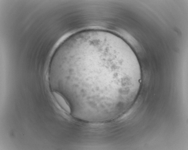 X0000115581240200911241506