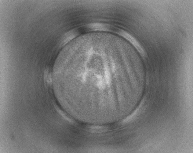 X0000115581241200911241506