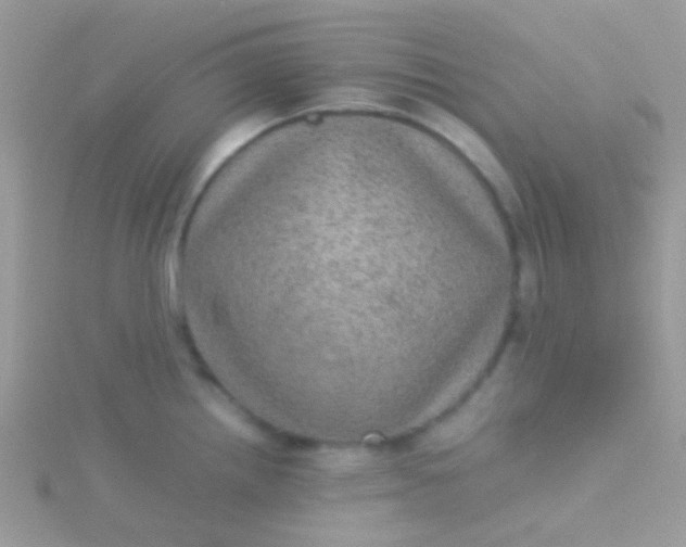 X0000115581242200911241506