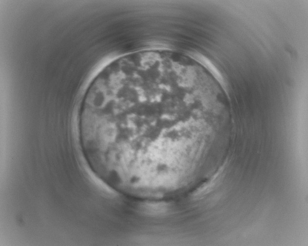 X0000115581243200911241506