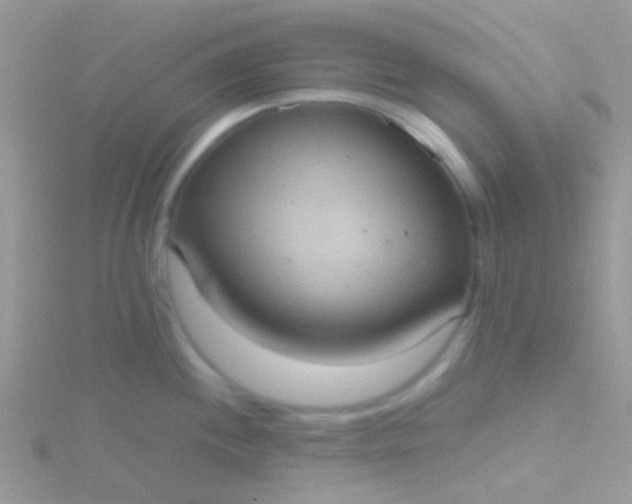 X0000115581244200911241506