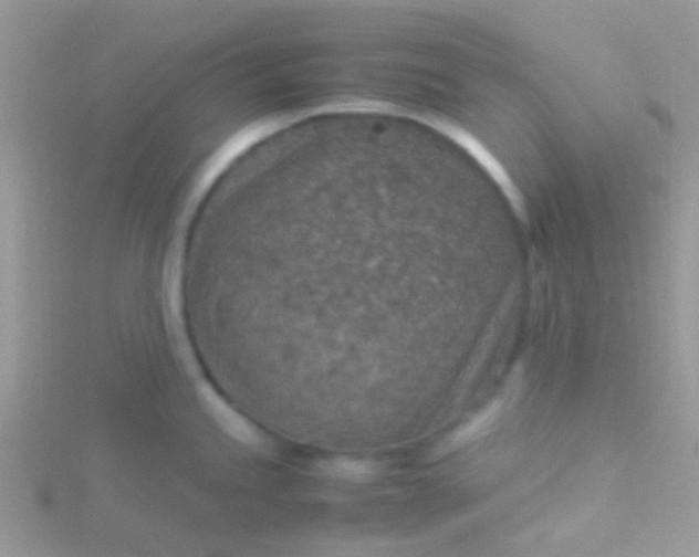 X0000115581245200911241506