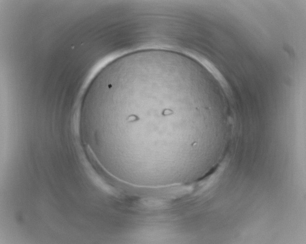 X0000115581246200911241506