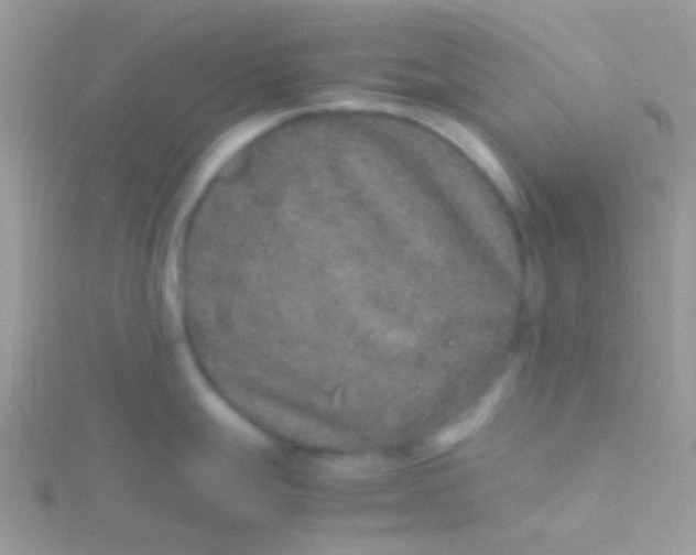 X0000115581247200911241506