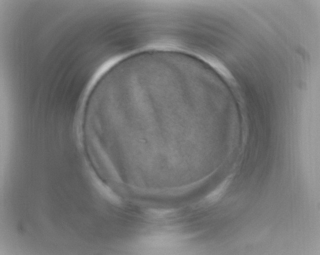 X0000115581248200911241506