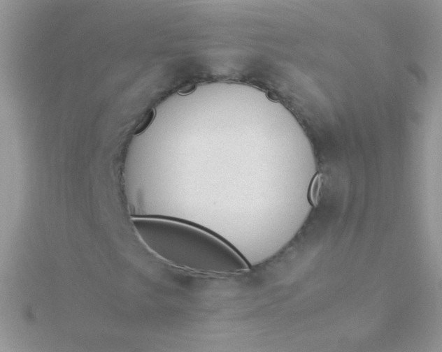 X0000115581249200911241505