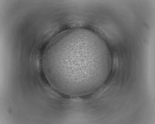 X0000115581250200911241505