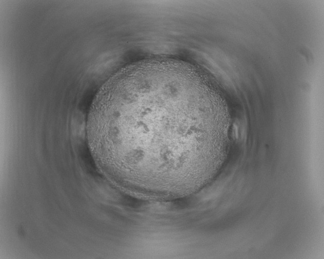 X0000115581251200911241505