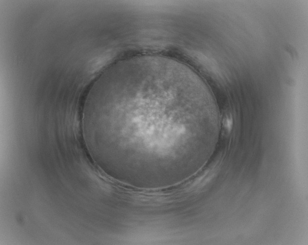 X0000115581252200911241505