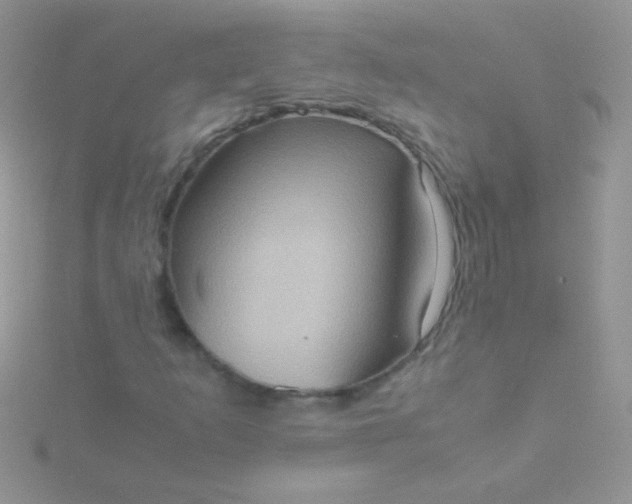 X0000115581253200911241505