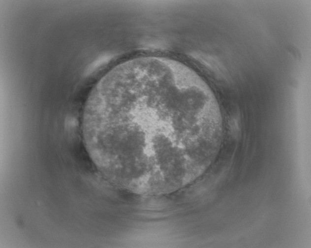 X0000115581254200911241505