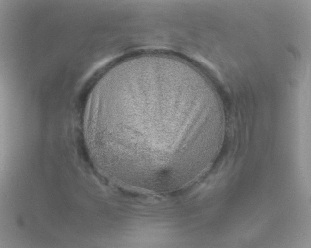 X0000115581255200911241505