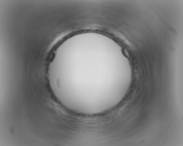 X0000115581256200911241505