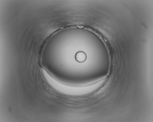 X0000115581257200911241505